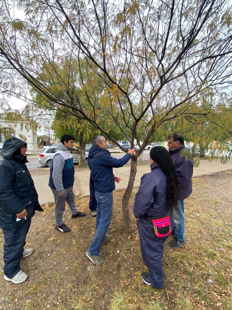 Capacitación sobre poda de árboles